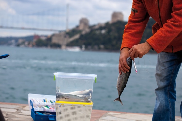 Balık Tutarken Kullanılan Malzemeler Nelerdir ?