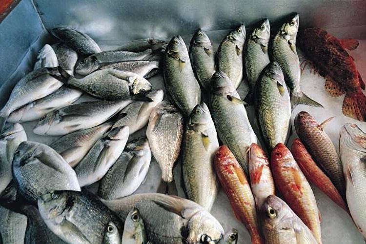  Balık Zehirlenmesi Kaç Gün Sürer?