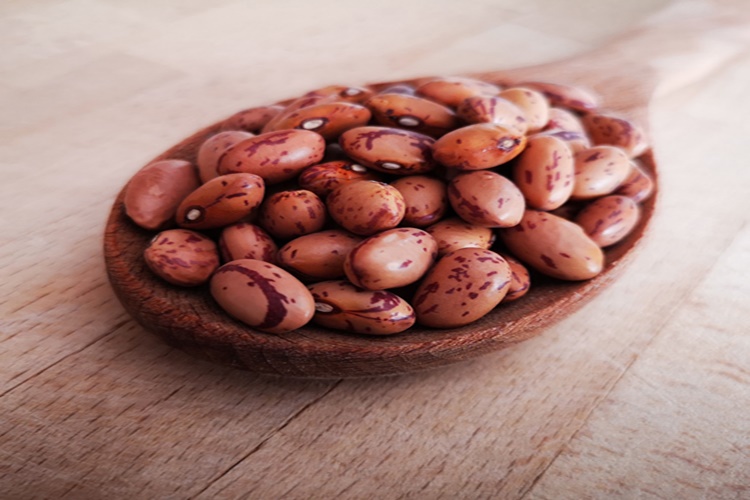 Barbunya Gluten İçerir Mi?