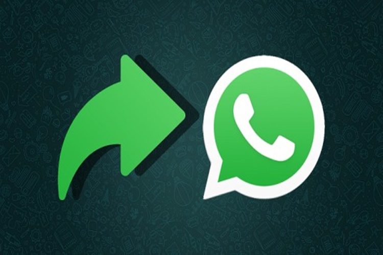 Başka Telefona Geçince Whatsapp Mesajları Silinir Mi?