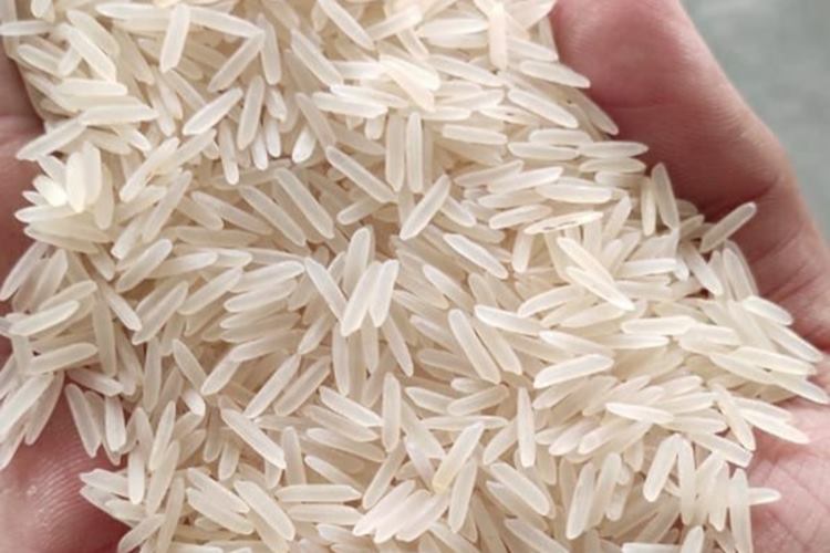 Basmati Pirinç Hangi Yemeklerde Kullanılır? Güncel Oku