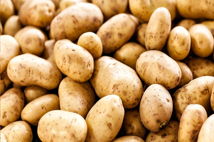 Basura Patates İyi Gelir Mi?