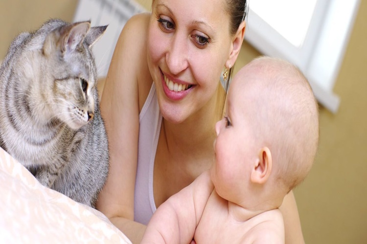 Bebeklerde Hayvan Alerjisi Hakkında Merak Edilen Bilgiler