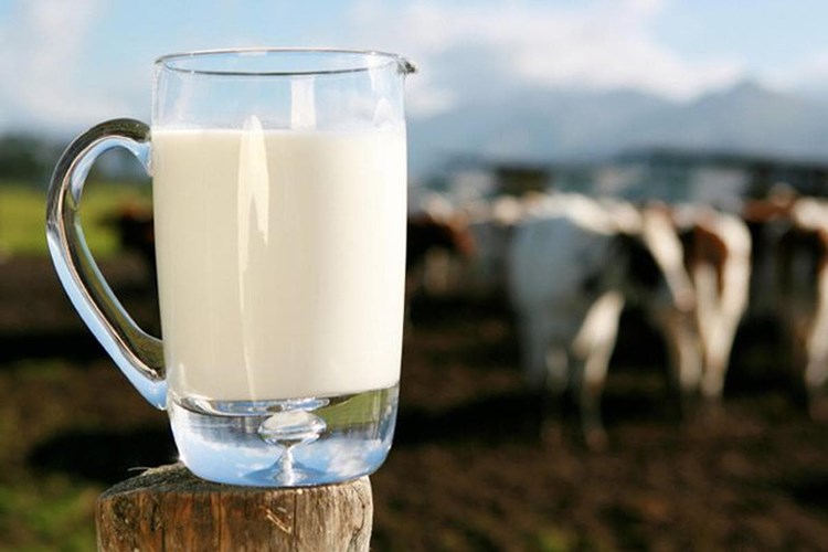 Bebeklerde İnek Sütü Kabızlık Yapar Mı?
