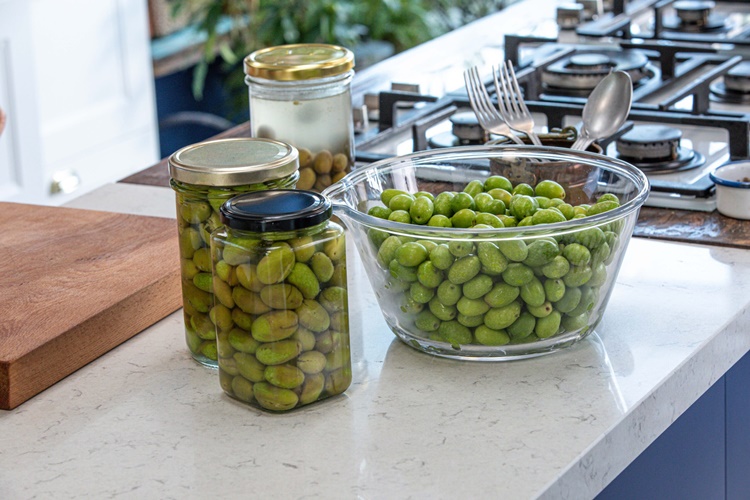 Bebeklere Yeşil Zeytin Ne Zaman Verilir?