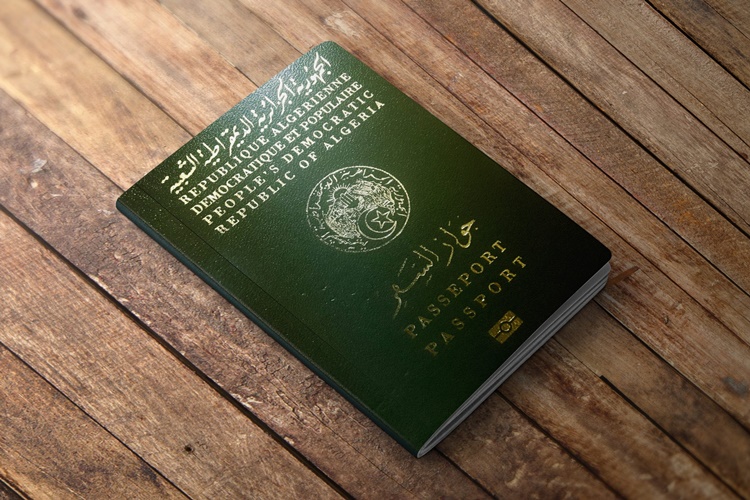 Belediye Sözleşmeli Personel Yeşil Pasaport Alabilir Mi?
