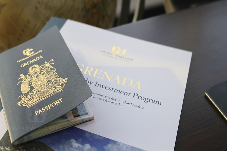 Belediyeden Gri Pasaport Alınır Mı?