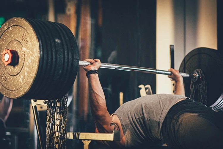 Benchpress Hangi Kas Grubunu Çalıştırır?
