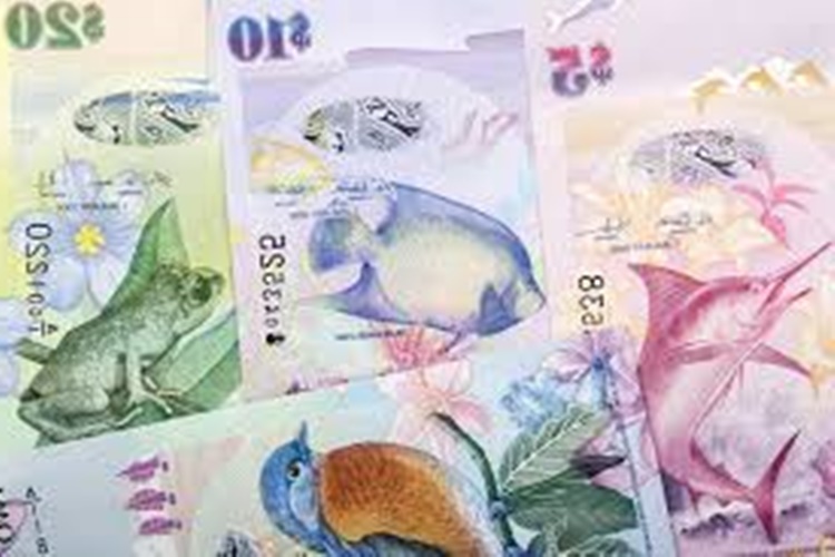 Bermuda Doları Neden Çöktü?