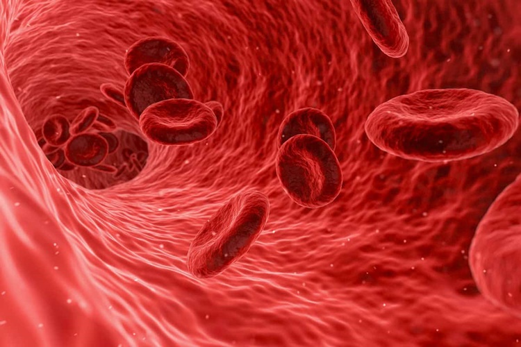 Beta HCG Artışı Nasıl Olmalı?