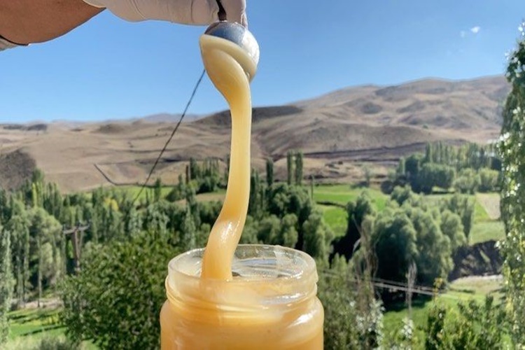 Beyaz Bal Nasıl Yapılır?