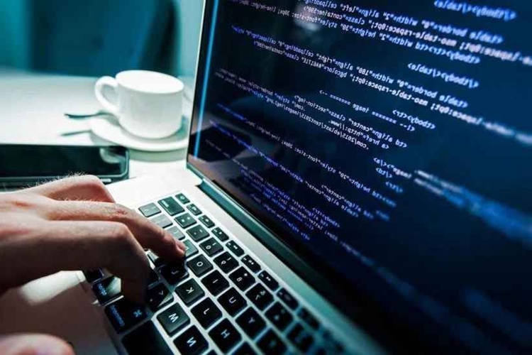 Beyaz Şapkalı Hacker Olmak İçin Hangi Bölüm Okunmalı?