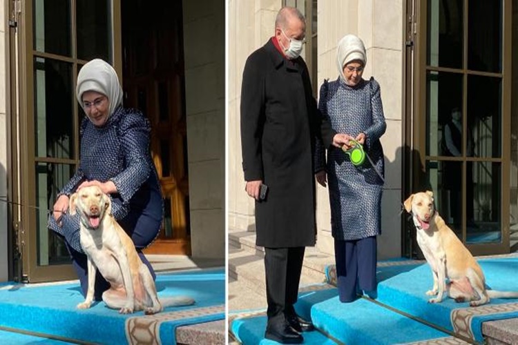 Beyaz Türk Nasıl Olunur?