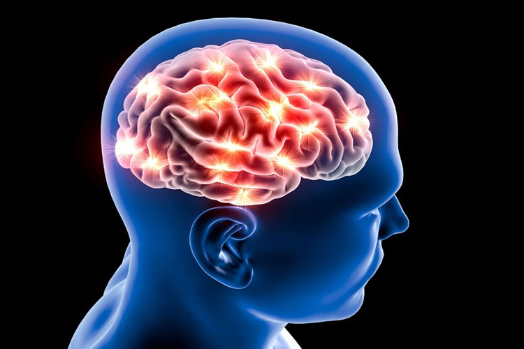 Beyin Ölümü Gerçekleşen Hastada Organ Bağışı Caiz Mi?