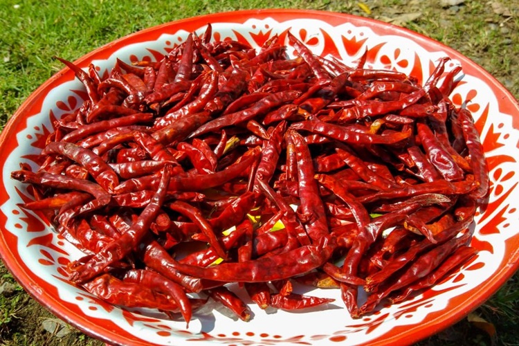 Biber Kurutma Nedir?