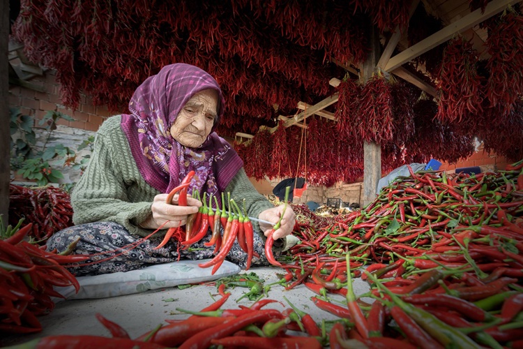 Biber Kuruturken Neden Beyazlar?