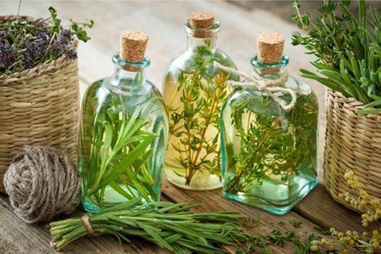 Biberiye Yağı Saç Çıkarır Mı?