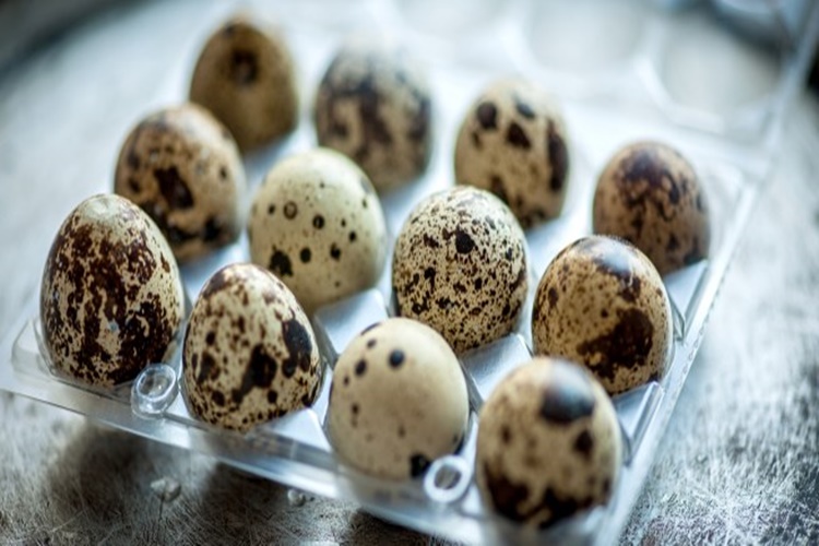 Bıldırcın Yumurtası Faydaları Nelerdir?