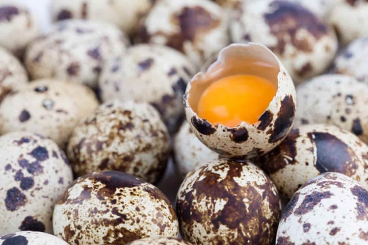 Bıldırcın Yumurtası Günde Ne Kadar Tüketilmeli?
