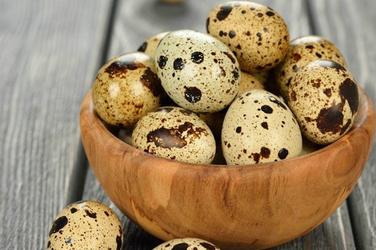 Bıldırcın Yumurtası ile Kek Yapılır mı?