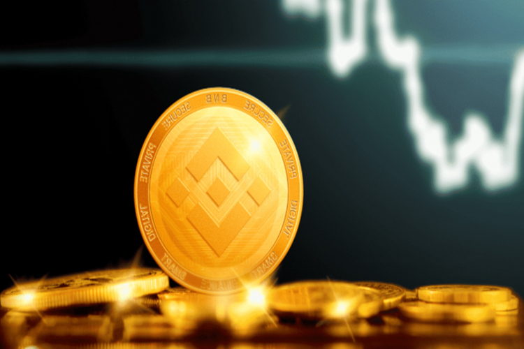 Binance Coin (BNB)