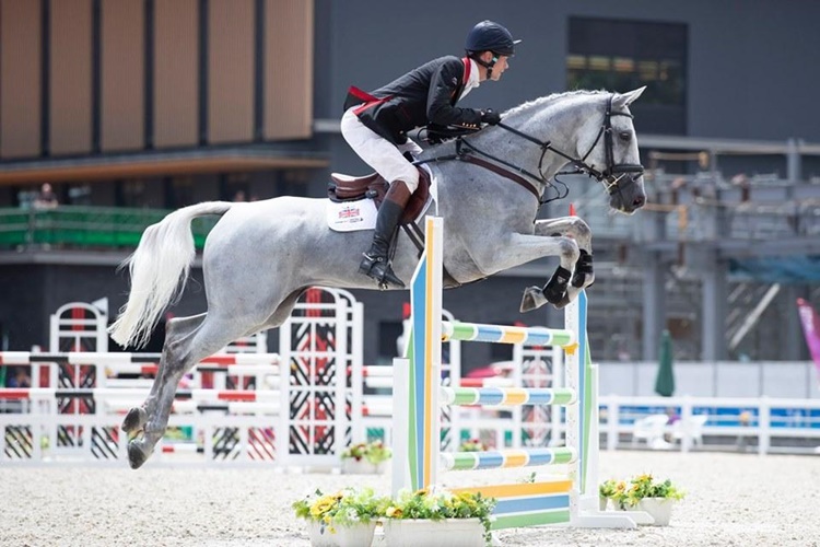 Binicilik İçin Gerekli Malzemeler Nelerdir?