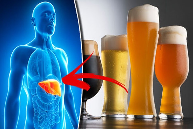 Bira Vücutta Ne Yapar?