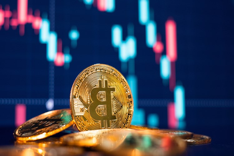 Bitcoin Kim Buldu?