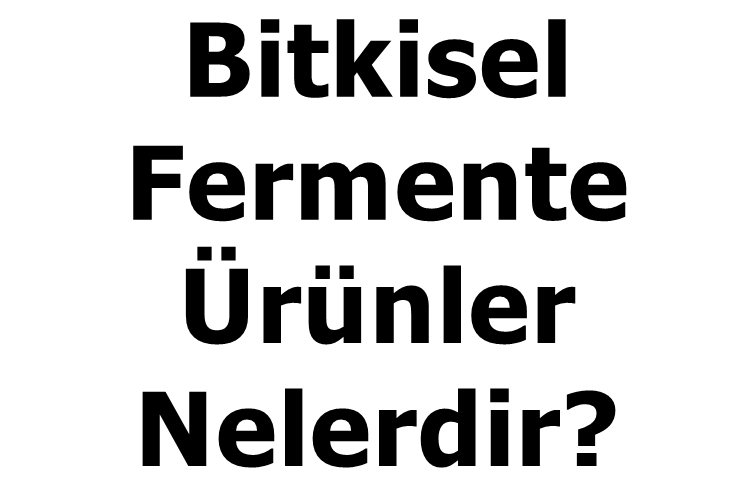 Bitkisel Fermente Ürünler Nelerdir?