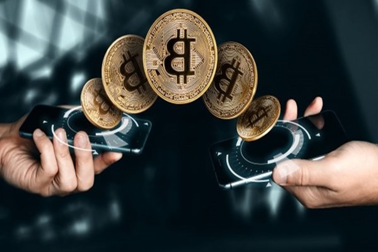 Bitrota Kurucusu Kimdir?