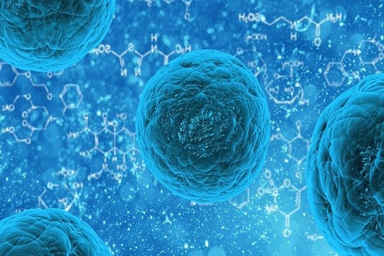 Biyoloji Enerji Dönüşümleri Nedir?