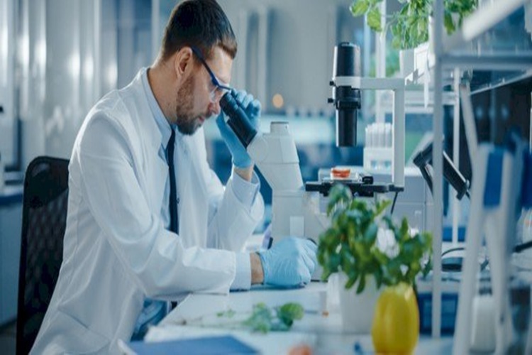 Biyoloji Hakkında Merak Edilen Konular Nelerdir?