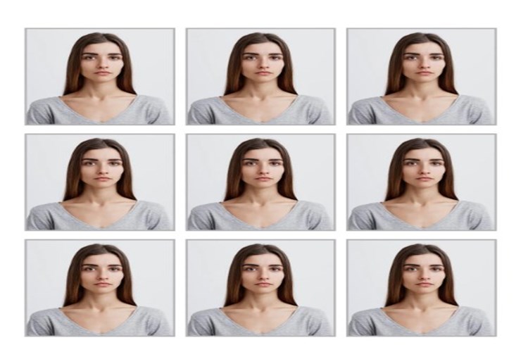 Biyometrik Fotoğraf Ne Zaman Çekildiği Anlaşılır Mı?