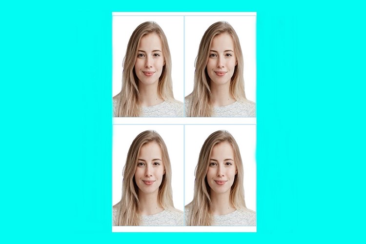 Biyometrik Fotoğraf Vesikalık Yerine Geçer Mi?