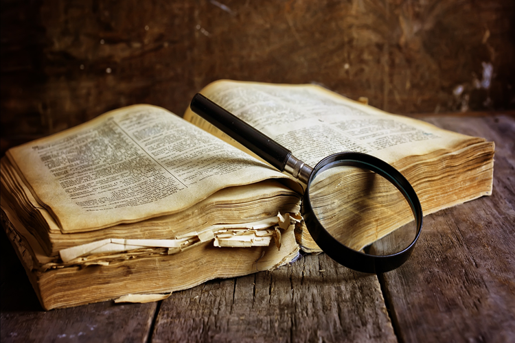 Biz Kimden Kaçıyorduk Anne Dizisi Hangi Kitaptan Uyarlama?