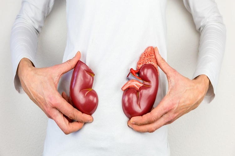 Böbrek İltihabı İle İlgili Merak Edilenler