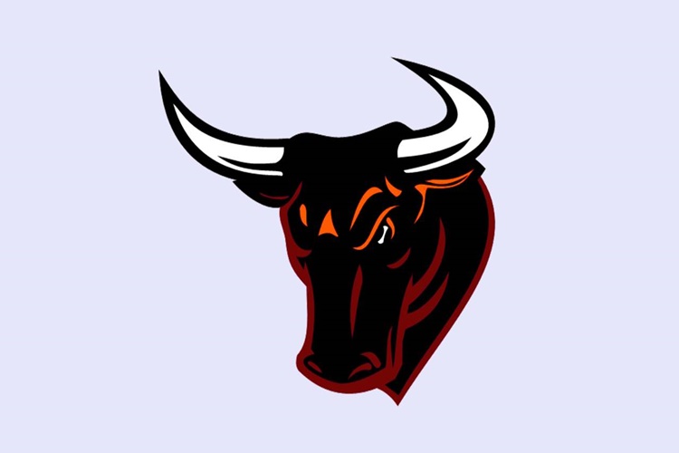 Boğa Burcu Erkeği Zoru Sever Mi?