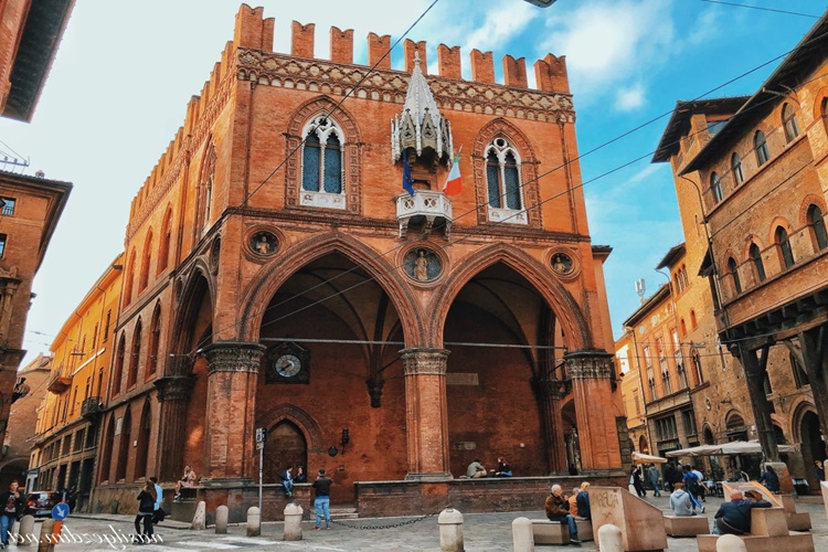 Bologna Üniversitesi Özel Mi?