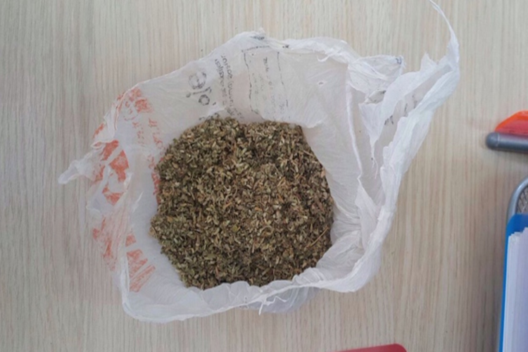 Bonzai Bağımlılığı Nedir?