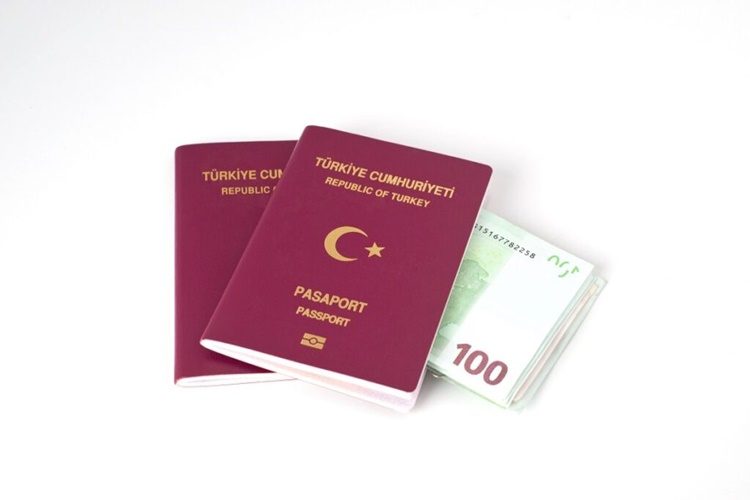 Bordo Pasaport İle Kaç Ülkeye Vizesiz Girilebilir?