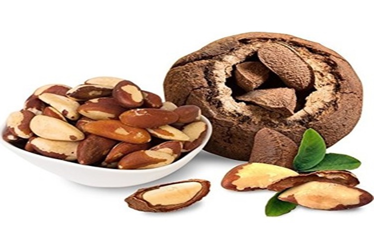 Brezilya Cevizi Diğer Adı Nedir?