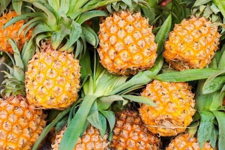Bromelain Zayıflamak İçin Nasıl Kullanılır?