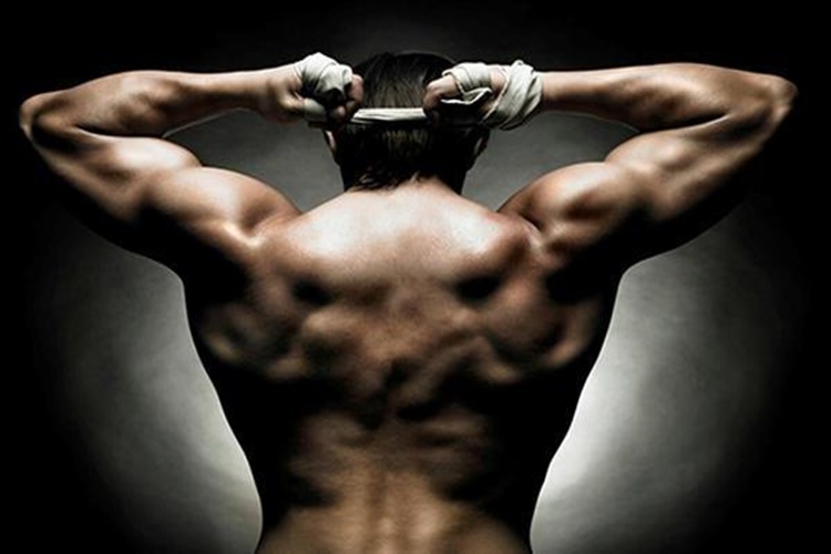 Bulk Döneminde En İyi Protein Tozu Hangisidir?