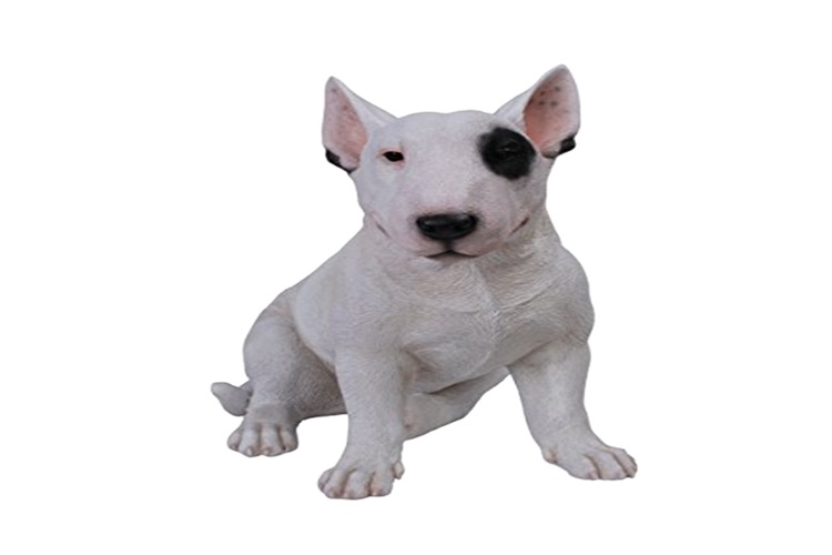 Bull Terrier Eğitimi Nasıl Olmalıdır?