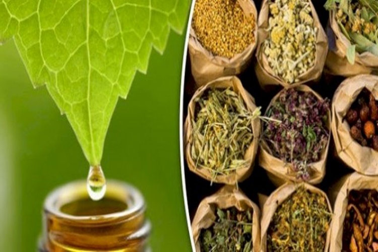 Burun Tıkanıklığı İçin Bitkisel Çözüm Nedir?