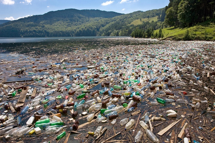 Büyüyen Plastik Krizi İçin Ne Yapabiliriz?
