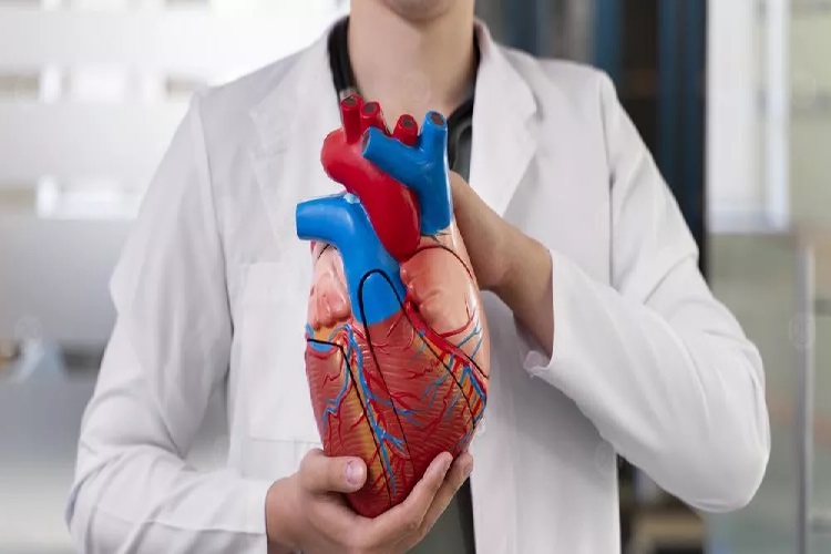 Bypass Kimlere Yapılmaz?