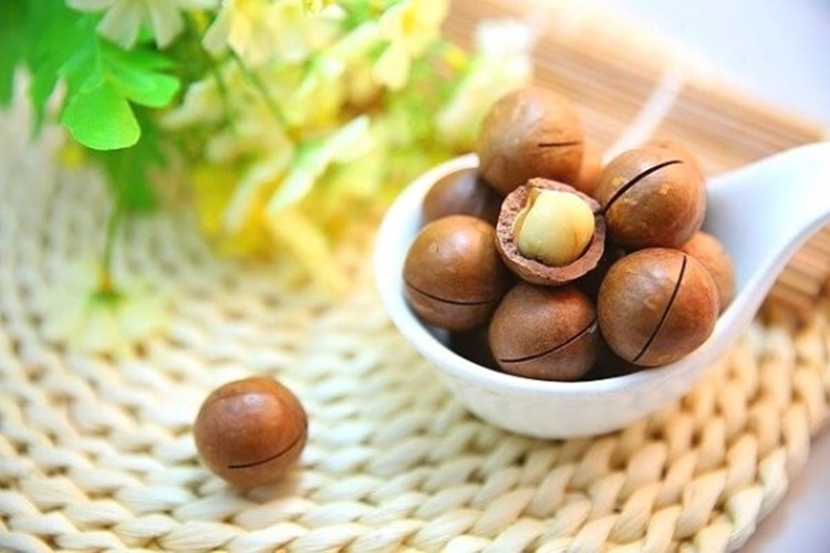 Cadı Fındığı Nedir?