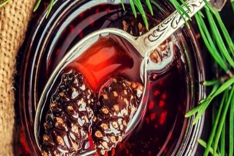 Çam Kozalağı Pekmezi Kimler Kullanamaz?