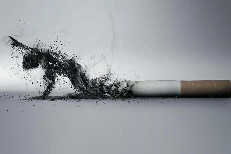 Cam Sigara Çektiğinde Ne Yapmalıyım?